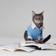 Illustration for article titled LitSnawb: An Introduction About Douchey Literary Cats